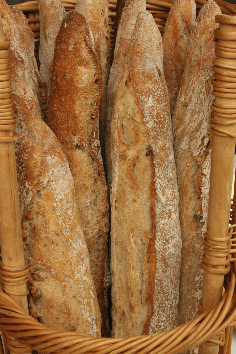 Country Baguettes – Emile Henry USA