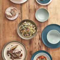 Everyday Dinner Plate- 11 Tableware Emile Henry USA Sugar/Ivory