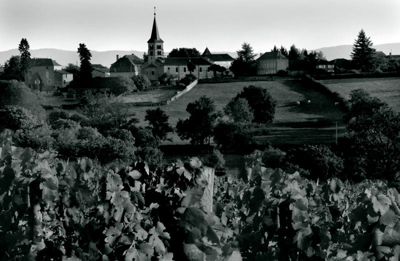 French countryside