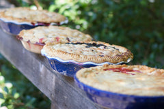 Pie Camp author Kate McDermott Talks About Her First Emile Henry Pie Dish