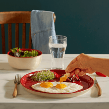 Everyday Dinner Plate- 11" Product Image 4
