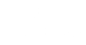 Emile Henry USA