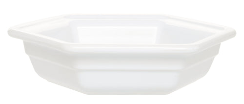 Gastron Hexagonal Dish