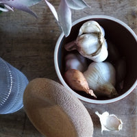 Garlic Storage Pot Storage Emile Henry USA = Truffle 